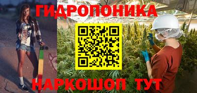 индика Тверь