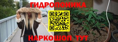 индика Тверь