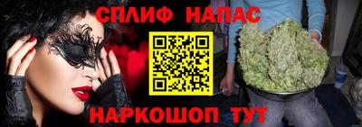 стаф Ставрополь