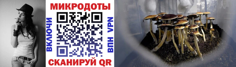 Галлюциногенные грибы мухоморы  Нягань 