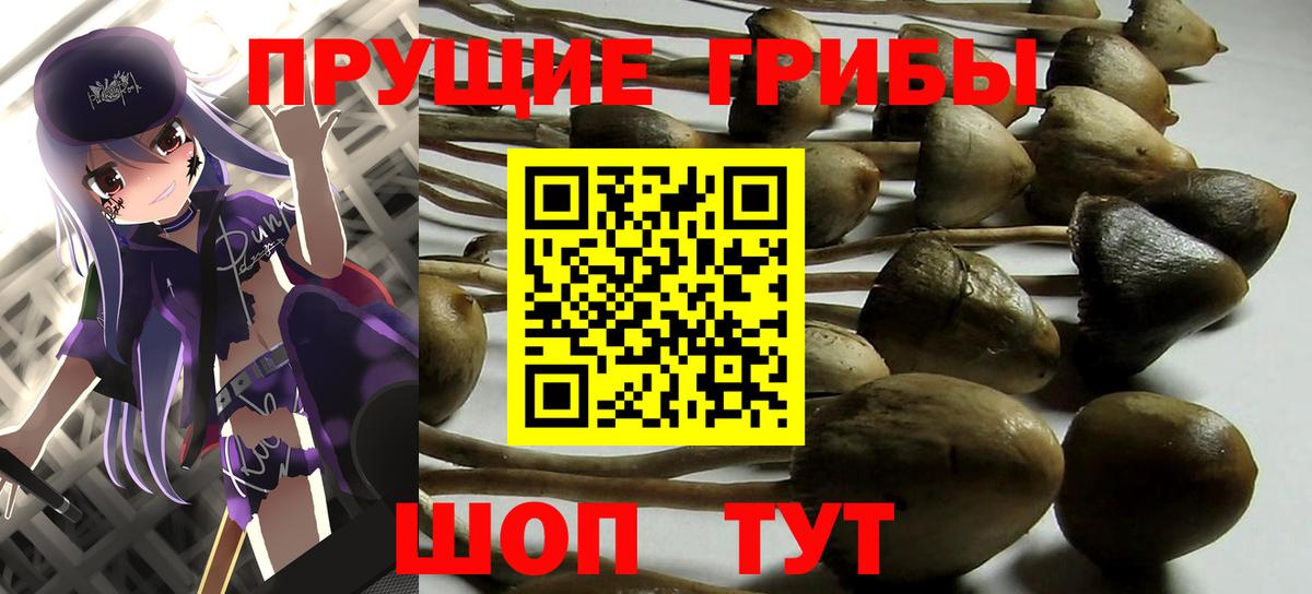 Галлюциногенные грибы Cubensis Нягань
