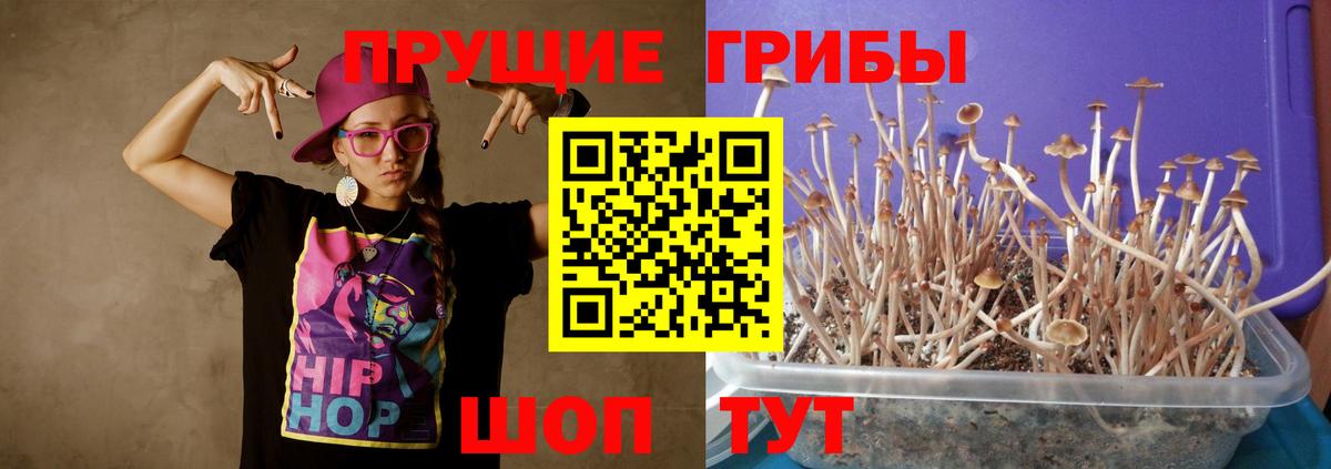 Нягань  Псилоцибиновые грибы прущие грибы  Вход с VPN 